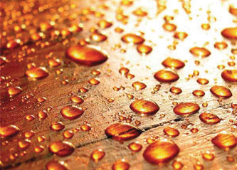 Pressupostos de reformes amb fusta de qualitat